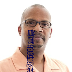 首席的独宠新娘