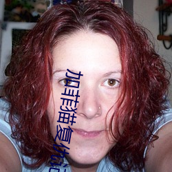 加菲猫复仇记 （另楚寒巫）