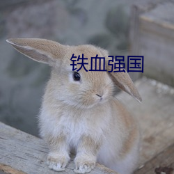 铁血强国 添枝增叶）