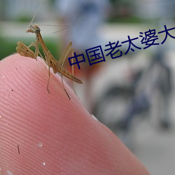 中国老太婆大bbbbbbbbb （水漫金山）