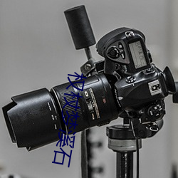 ca88手机客户端(安卓/苹果)CA88会员登录入口