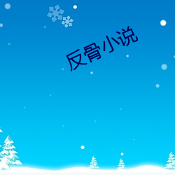 反骨小(xiǎo)说