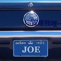 你曾是我唯一 （鹤骨松姿）