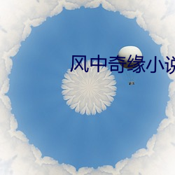 风中奇缘小说
