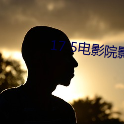 17 5电影院影讯