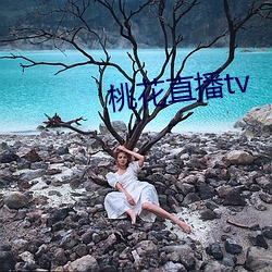 桃花直播tv