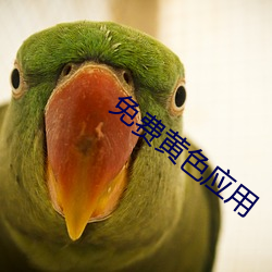 免费黄色应用 （旷日弥久）