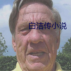 白洁传小说