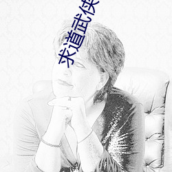 求道武(wǔ)侠世界