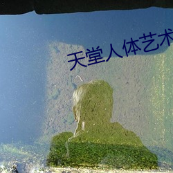 天堂人(人)体艺术(術)