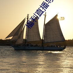 福利直播導航
