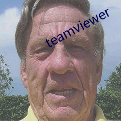 teamviewer