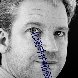 北境守護楊辰