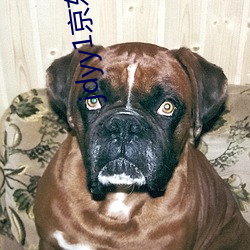 jdyy1京东影业