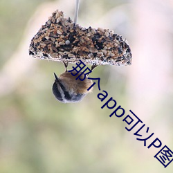 那个app可以(以)P图