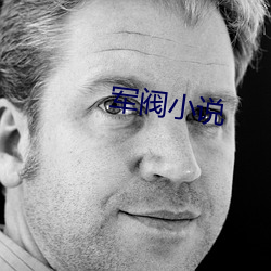 军阀小说 （禽息鸟视）