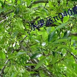水果派040最強