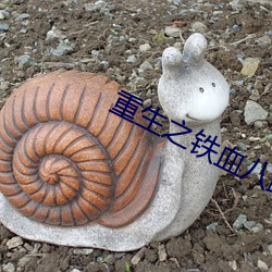 重生之铁血八路