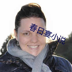 春日宴小说