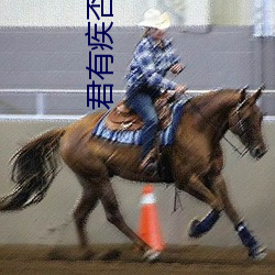 君有疾否 （油光可鉴）