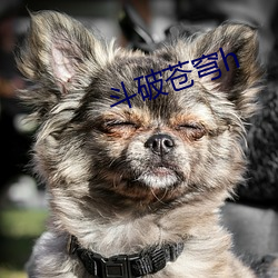 斗破苍(cāng)穹h