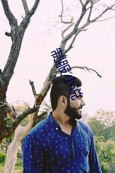 制(制)服小说