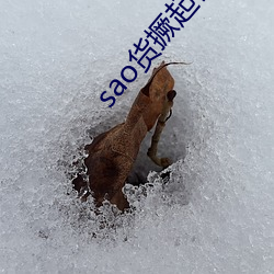 sao货撅起你的贱屁股来