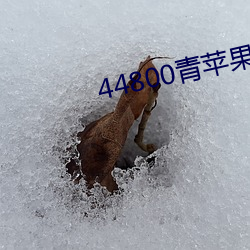 44800青苹果(guǒ)影院