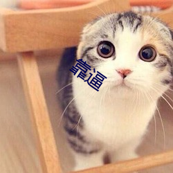 新利体育·luck18(中国)官方网站