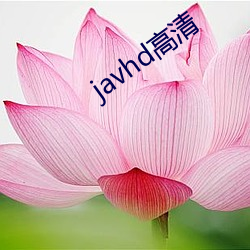 javhd高(高)清