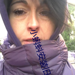 小(xiǎo)蝌蚪安装(zhung)旧版本