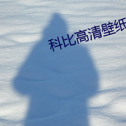 科比高清壁纸