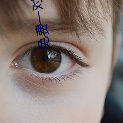 免费一对一匹配语音