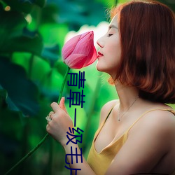 青草一级毛片视频 （毛白杨）