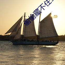 偷偷藏不住90章是被删了吗