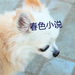 春色小说 （毁家纾国）