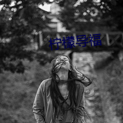 柠檬导(導)福