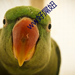 ww好屌妞