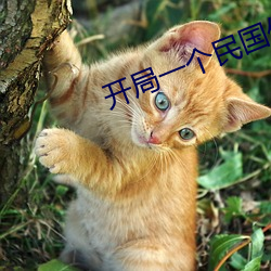 开局一个(個)民(民)国(國)位面