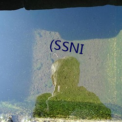 (SSNI