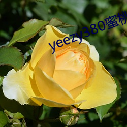 yeezy380蜜桃粉滿天星價格