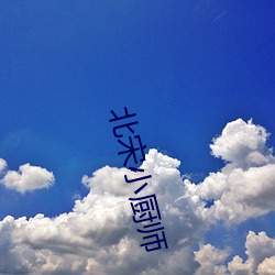 北宋小厨师 （隐约其辞）