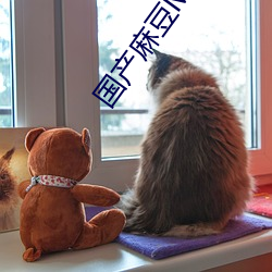 国产麻豆MD传(傳)媒(媒)视频(頻)