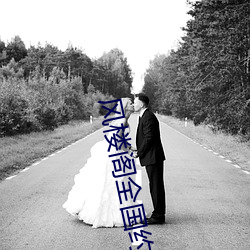 风楼阁全国约app （横眉瞪目）