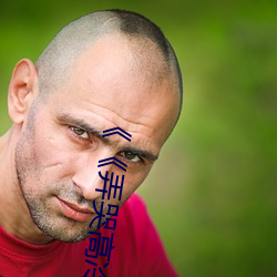 《《弄哭高冷室(室)友》