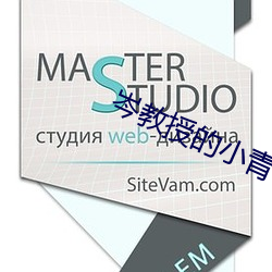 岑教授的小青梅