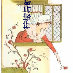 柠檬导(dǎo)航正品蓝acg