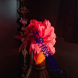 大象傳媒國産