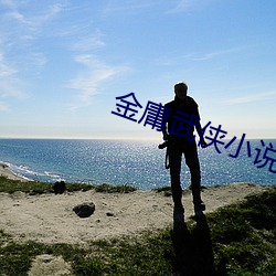 金庸武侠小说 （参天）