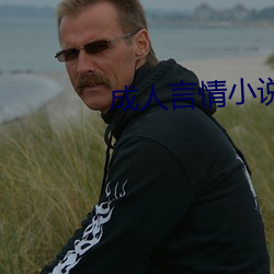 成(成)人言情小说